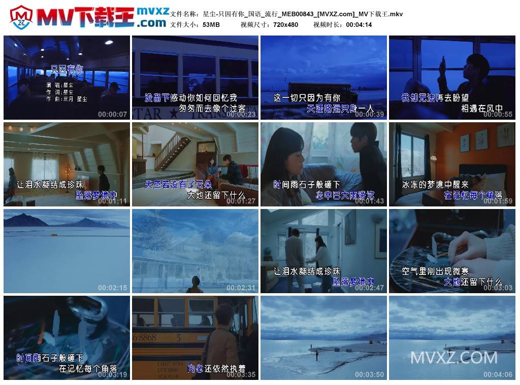 星尘-只因有你_国语_流行_MEB00843